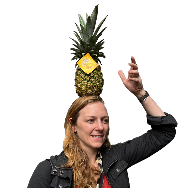 Image of what to bring